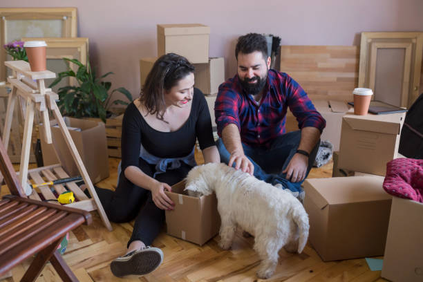 istock I want to help,I want to play 931705110