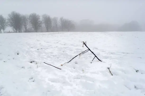 Snow-covered field on hillslope against foggy background - winter scenery