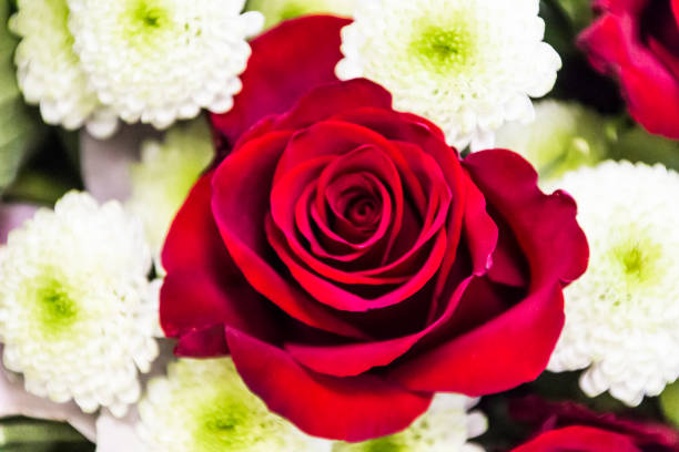 istock Bouquet of red roses, background 931708676