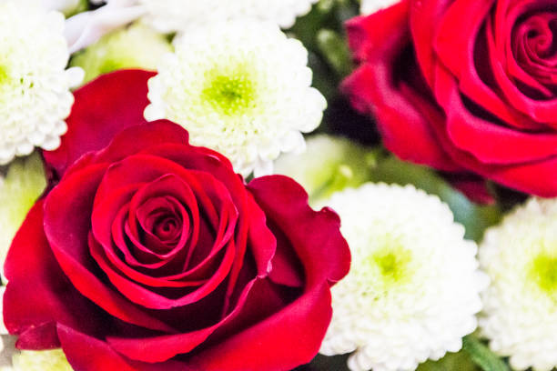 istock Bouquet of red roses, background 931708714