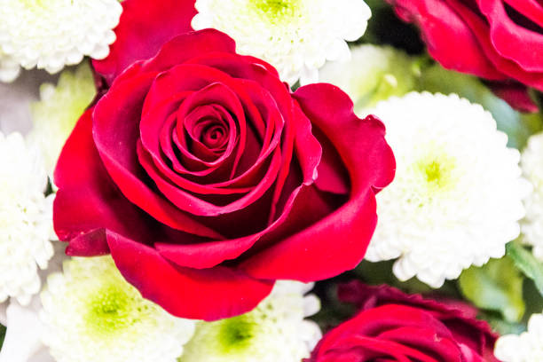 istock Bouquet of red roses, background 931708722