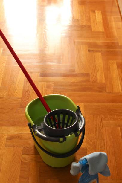 istock Cleaning bucket and mop. 931710622