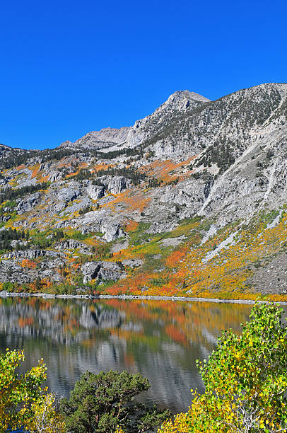 istock Autumn Colors, Sierra Nevada 93171511