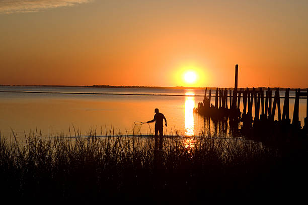 Crabbing At Sunset  crabbing stock pictures, royalty-free photos & images