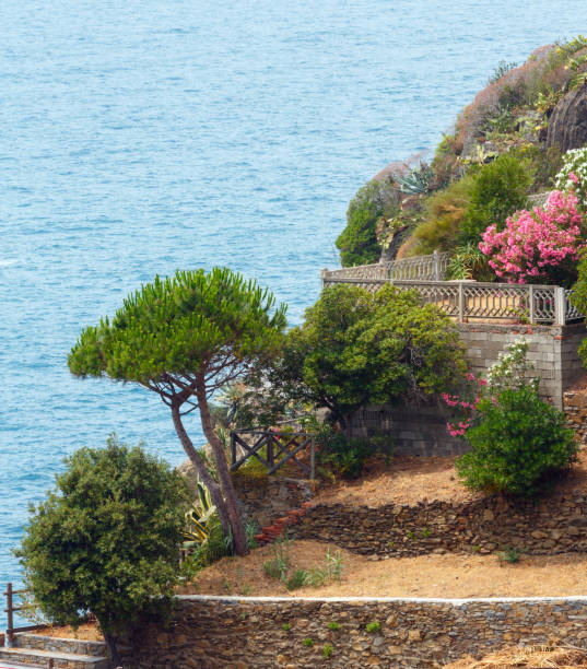 istock Summer Riomaggiore outskirts, Cinque Terre 931717280