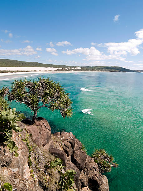 Indian Head, Fraser Island View from Indian head with wave breaking in pristine aqua coloured bay fraser island stock pictures, royalty-free photos & images