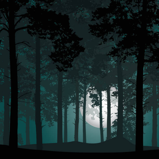 illustrazioni stock, clip art, cartoni animati e icone di tendenza di illustrazione vettoriale della foresta di conifere sotto il cielo notturno con stelle e luna piena di luna - bosco