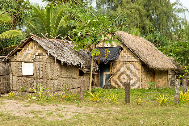 istock Thatch Huts on Nguna Island in Vanuatu 93174924