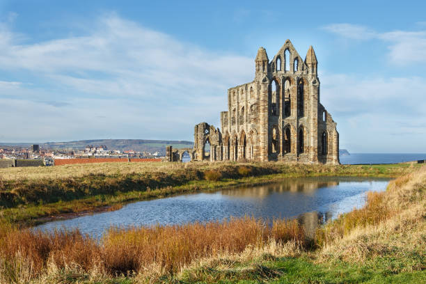 Whitby Abbey and autumn colours stock photo
