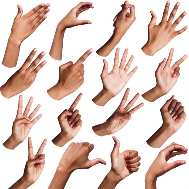 Set of black female hands showing symbols African-american woman hands showing symbols and gestures, like, offering, ok, writing, isolated on white background. Set of female hands. human finger human hand pointing isolated stock pictures, royalty-free photos & images