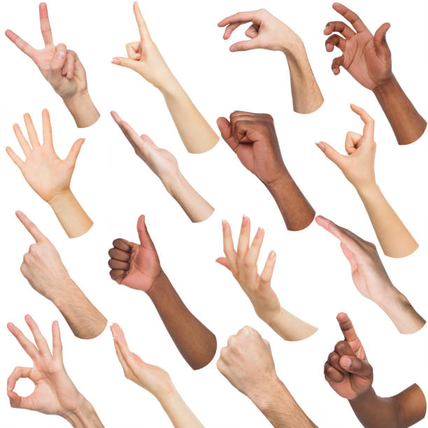 istock Set of diverse hands gesturing at white isolated background 931753200
