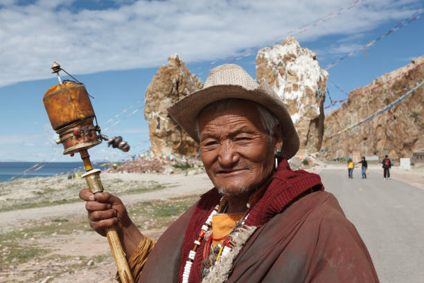 Tibetan Shepherd