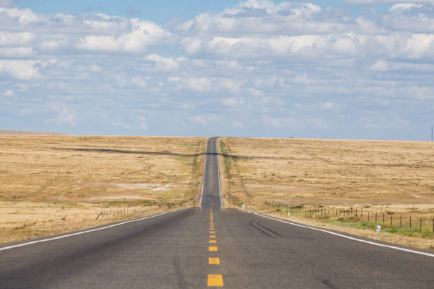 Straight Asphalt Road on the Wilderness