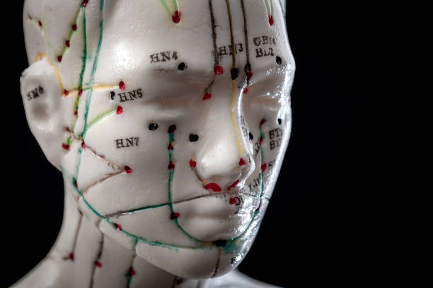 침술용 인형 - acupuncture chinese medicine shiatsu doll 뉴스 사진 이미지