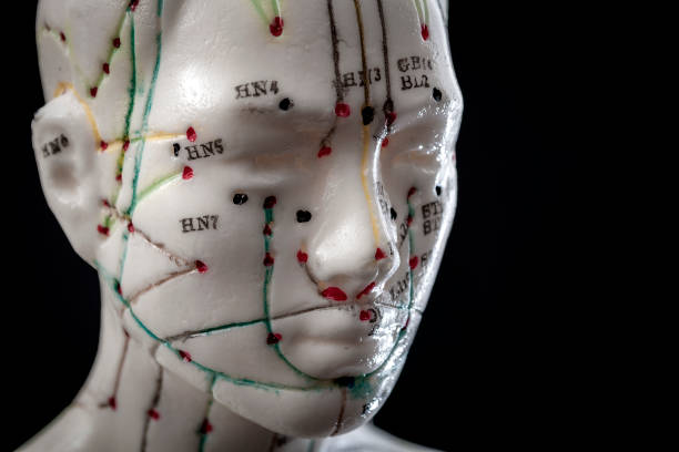 Acupuncture doll Alternative medicine and east asian healing methods concept with acupuncture dummy model with copy space. Acupuncture is the practice of inserting needles in the subcutaneous tissue, skin and muscles acupuncture model stock pictures, royalty-free photos & images