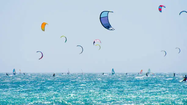 Group of people doing kitesurfing and windsurfing on sea.