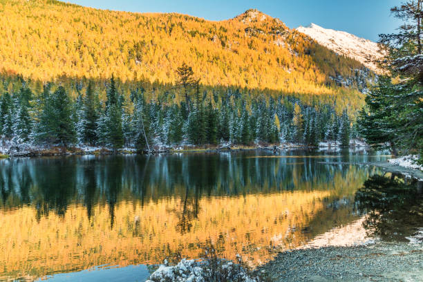 istock Landscape with great  Siberian nature, Altai, Russia. 931765572