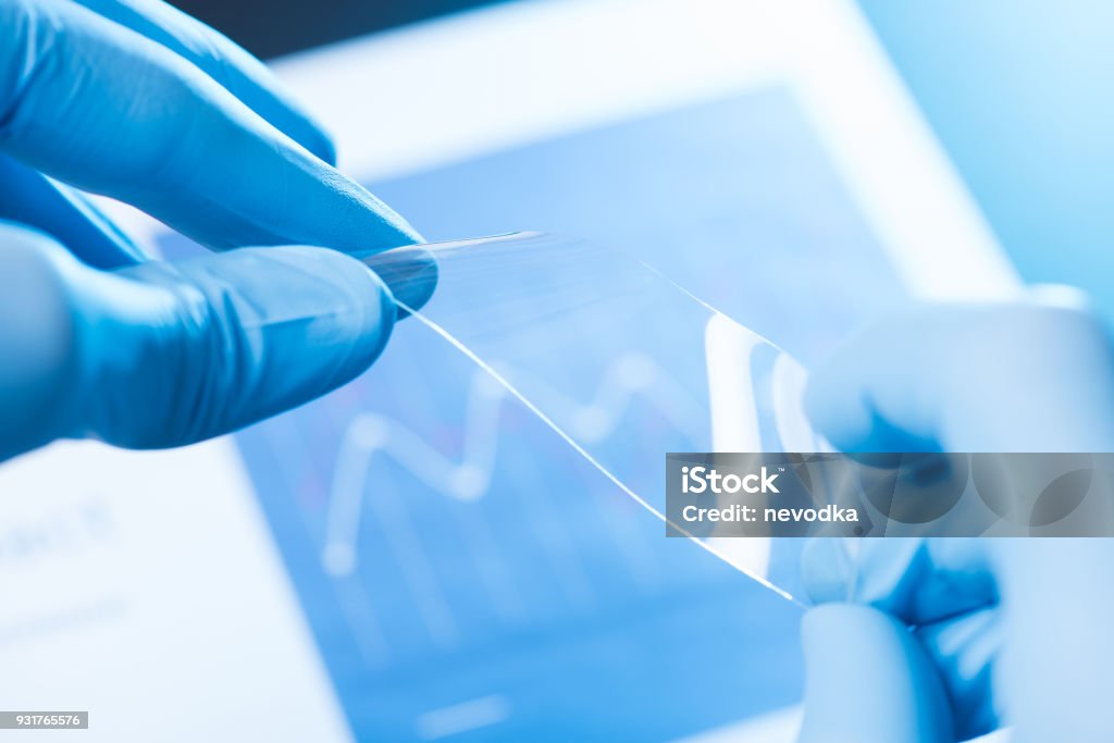 New type of material research concept Scientist hold and bend in fingers small piece of transparent material, new type of material with different properties research concept Flexibility Stock Photo