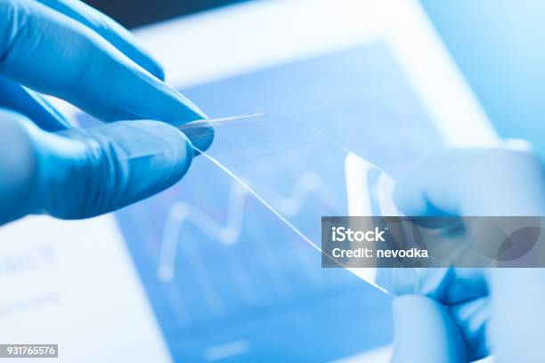 New Type Of Material Research Concept Stock Photo - Download Image Now - Flexibility, Showing, Glass - Material