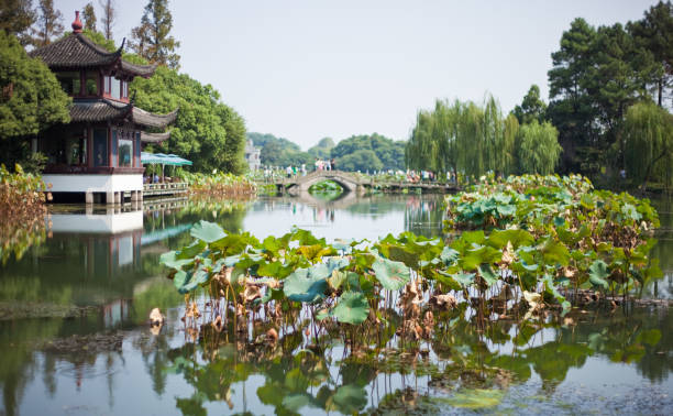 West Lake Scene In Hangzhou, China The Beautiful West Lake In The City Of Hangzhou, China west lake stock pictures, royalty-free photos & images