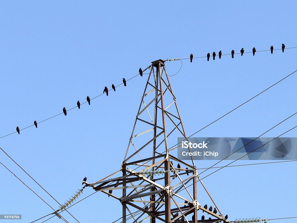 電源ライン - カラー画像のロイヤリティフリーストックフォト