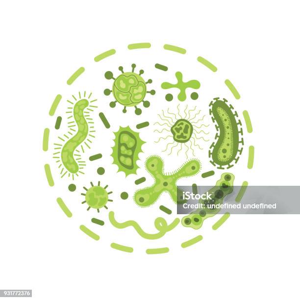 Cartoonvektorillustration Bakterien Und Keime Virus Gesetzt Krankheitserregende Mikroorganismen Bakterien Viren Pilze Protozoen Vektorvirus Flach Cartoon Illustration Stock Vektor Art und mehr Bilder von Anatomie