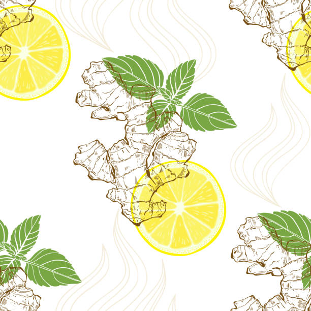 生姜、レモン、ペパーミント。白い背景にシームレス パターン。 - healthy eating botany drawing pattern点のイラスト素材／クリップアート素材／マンガ素材／アイコン素材