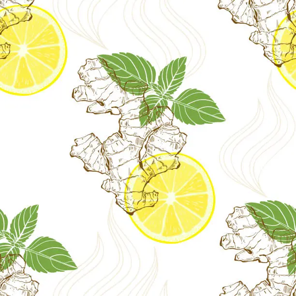 Vector illustration of Ginger, lemon and peppermint. Seamless vector pattern on white background.