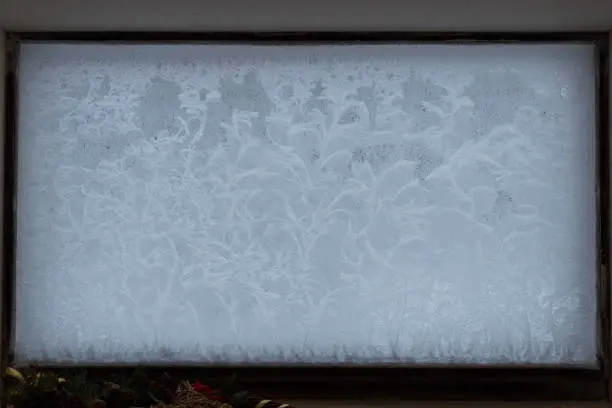 Iceflowers on a window of a stable at christmas
