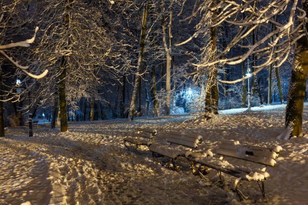 Beautiful night winter Ivan Franko park in the center of Lviv city (Ukraine) with snow-covered benches