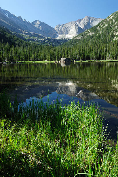 istock Reflections at a forest lake in Colorado Rocky Mountains 93178270