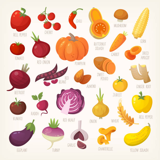 ilustrações, clipart, desenhos animados e ícones de legumes e frutas coloridas - crookneck squash