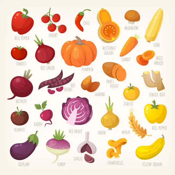 Vector illustration of Colorful fruit and vegetables