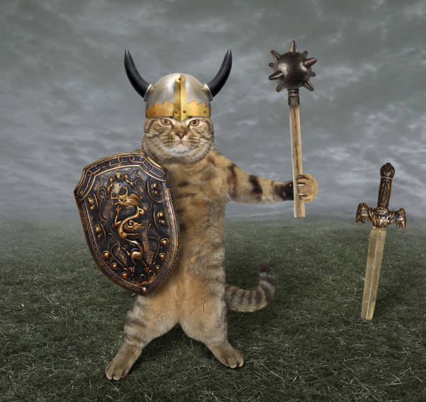 Cat warrior in a field The cat in a viking helmet holds a mace and a shield. He is on the battlefield. cat with clothes stock pictures, royalty-free photos & images