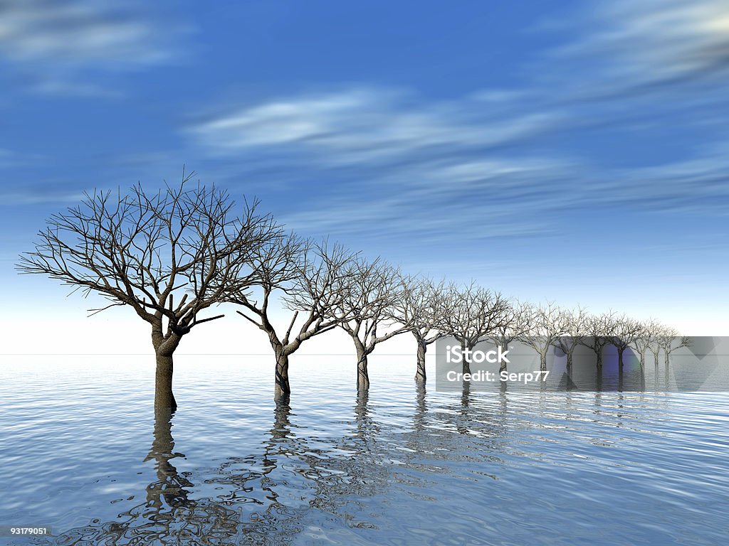 木々に囲まれた水 - あふれるのロイヤリティフリーストックフォト