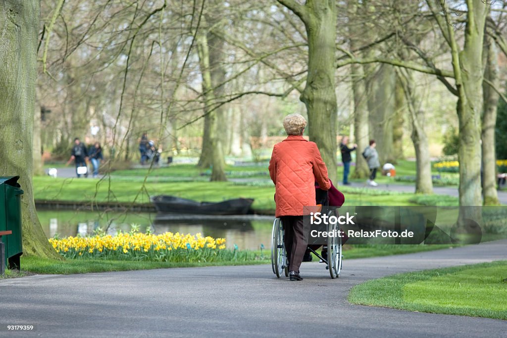 Widok z tyłu kobieta pchanie użytkownika wózka inwalidzkiego w parku - Zbiór zdjęć royalty-free (70-79 lat)