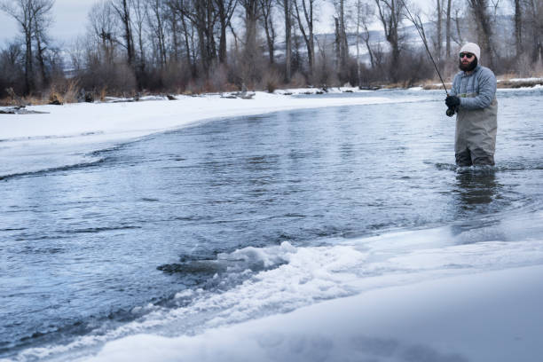 Hispanic man in 20's wearing wool hat, and fleece jacket wades through the water to go fly fishing in the famous Gallatin River during winter, Bozeman, Montana, USA