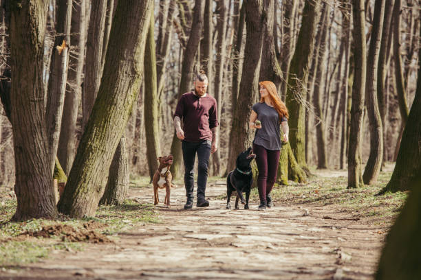 istock Couple Walking Their Dogs In The Forest 931794686