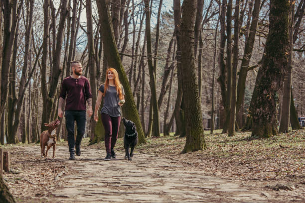 istock Couple Walking Their Dogs 931800024