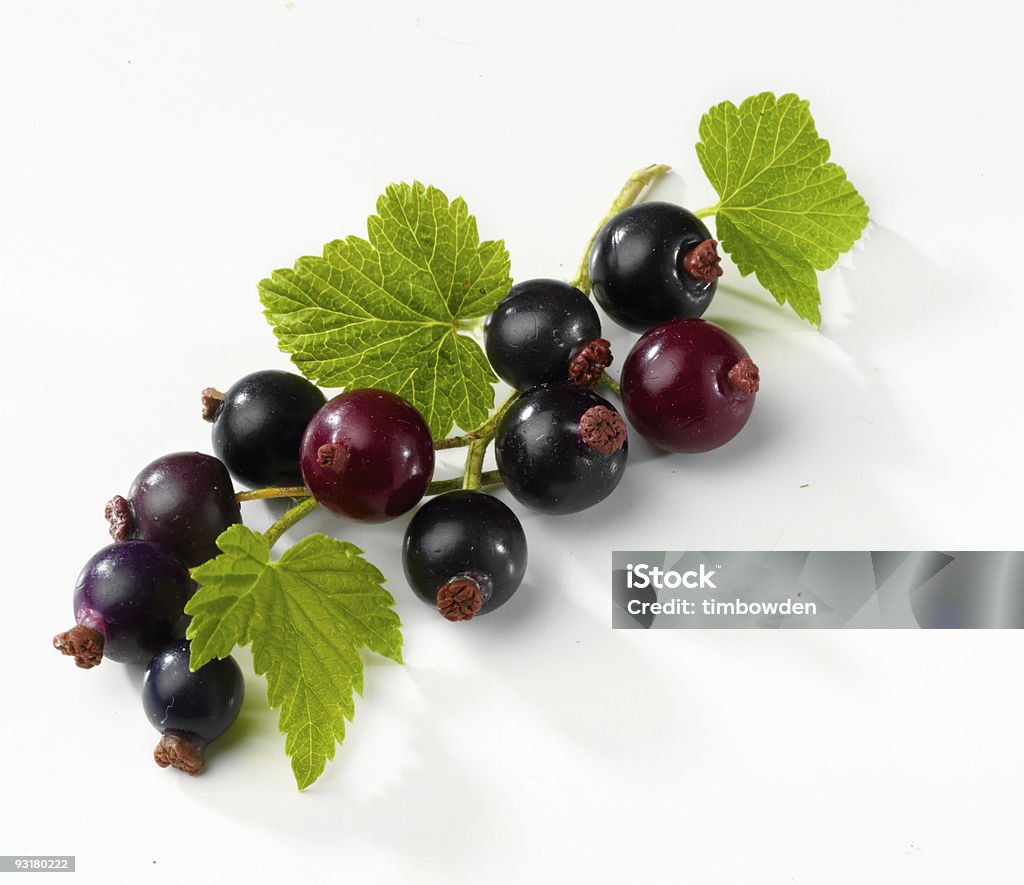 Blackcurrants and leaves  Black Currant Stock Photo