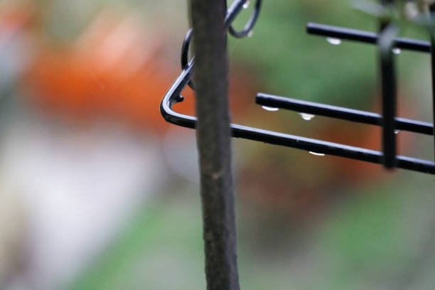 istock Water drop on flowerpot outdoor blur background for web site or mobile devices 931804918