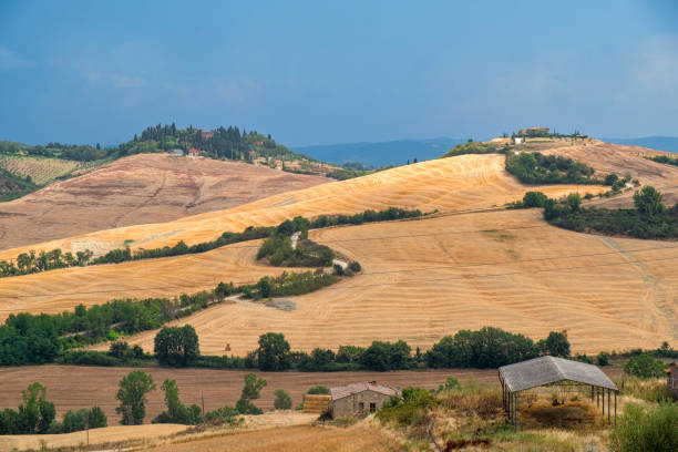 istock Tuscany: the road to Torre a Castello 931805058