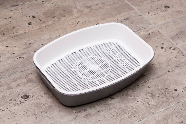 istock Grey litter tray on a concrete floor 931808196