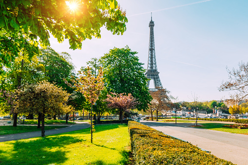 Landscape of Eiffle tower was shot at Palais de Chaillot