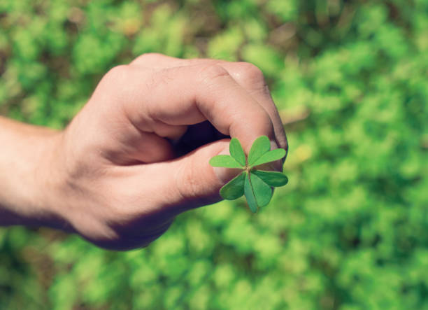 istock Hand holds agreen leaf of clover 931815886