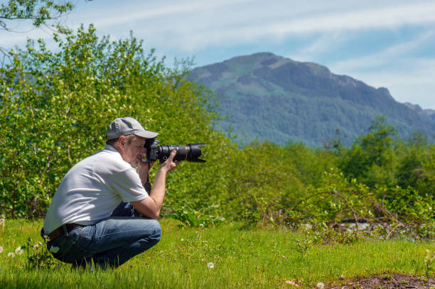 istock Nature photographer captures the summer landscape 931816288