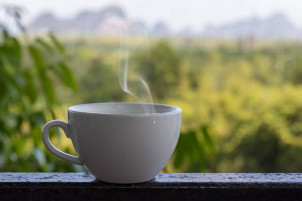 istock Hot milk cup with nature view 931817028