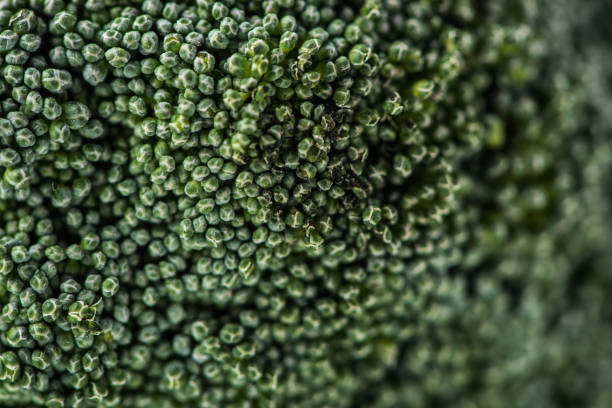 istock Close-up shot of broccoli cabbage florets 931825290