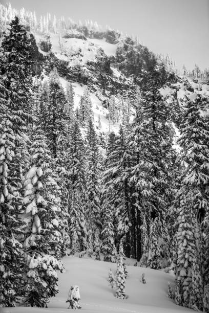 istock Winter at Crater Lake in Oregon 931825638