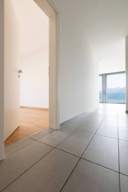 istock Interior of modern apartment, empty corridor 931830018